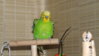 DSCF9075.JPG