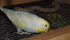 DSCF9087.JPG