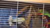 DSCF9092.JPG