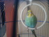20121104_143208.jpg