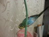 20121104_205314.jpg