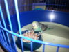 20120819_113117.jpg