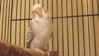 DSCF9248.JPG