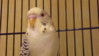 DSCF9250.JPG