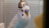 20150314_103402.jpg