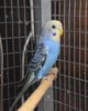 DSC_3751.JPG