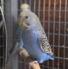 DSC_3717.JPG