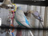 DSCN0228.JPG