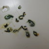 DSCN6297.JPG