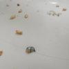 DSCN6310.JPG