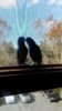 IMG_20170916_134123.jpg