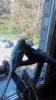 IMG_20170916_134454.jpg