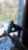 IMG_20170916_134438.jpg