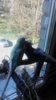 IMG_20170916_134532.jpg