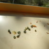 DSCN6319.JPG