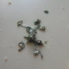 DSCN6384.JPG