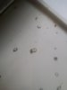 1505816962796-360680380.jpg