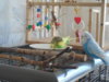DSCN0023.JPG