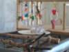 DSCN0025.JPG