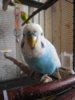DSCN0034.JPG