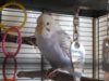 DSCN0010.JPG