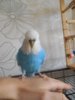 DSCN0004.JPG