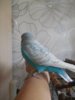 DSCN0002.JPG