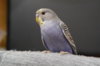 DSC_2108.JPG