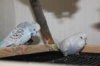 IMG_5043.JPG