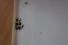 DSC_2116.JPG