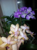 image.jpeg