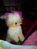 image.jpeg