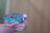 _DSC7086@0,25x.jpg