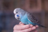 _DSC7189@0,25x.jpg