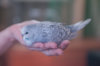_DSC7057@0,25x.jpg