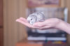 _DSC7245@0,25x.jpg