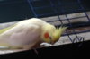 image.jpeg