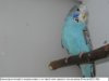IMG_0033.JPG