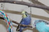 IMG_5079.JPG