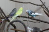 IMG_5074.JPG