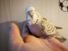 IMG_20170924_184417.jpg