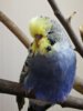 IMG_20170925_151326.jpg