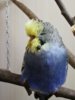 IMG_20170925_151321.jpg