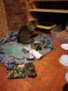 IMG_20170921_103738.jpg