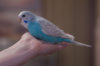 _DSC7372@0,25x.jpg