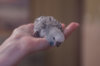 _DSC7414@0,25x.jpg