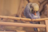 _DSC6554@0,25x.jpg