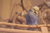 _DSC6555@0,25x.jpg