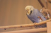 _DSC6556@0,25x.jpg