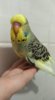 IMG-20170930-WA0002.jpg